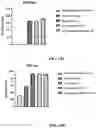 Fig. 34 - Virus-inspired compositions and methods of redirecting preexisting immune responses using the same for treatment of cancer