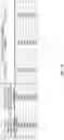 Fig. 40 - Virus-inspired compositions and methods of redirecting preexisting immune responses using the same for treatment of cancer