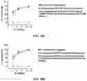 Fig. 42 - Virus-inspired compositions and methods of redirecting preexisting immune responses using the same for treatment of cancer