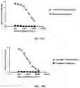 Fig. 44 - Virus-inspired compositions and methods of redirecting preexisting immune responses using the same for treatment of cancer