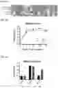 Fig. 02 - SARS-CoV-2 viruses and methods of use thereof
