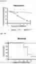 Fig. 12 - SARS-CoV-2 viruses and methods of use thereof