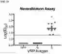 Fig. 16 - SARS-CoV-2 viruses and methods of use thereof
