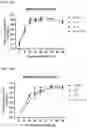 Fig. 19 - SARS-CoV-2 viruses and methods of use thereof