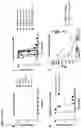 Fig. 21 - SARS-CoV-2 viruses and methods of use thereof