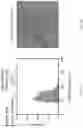 Fig. 04 - Multivalent particles compositions and methods of use