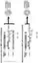Fig. 34 - Multivalent particles compositions and methods of use