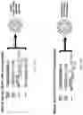 Fig. 38 - Multivalent particles compositions and methods of use