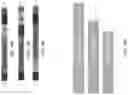Fig. 40 - Multivalent particles compositions and methods of use