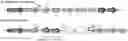 Fig. 01 - Thermostable phycobiliproteins produced from recombinant arthrospira