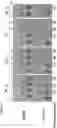 Fig. 14 - Thermostable phycobiliproteins produced from recombinant arthrospira