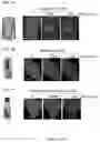 Fig. 08 - Smart single-domain intrabodies with precision switches for biomedical applications