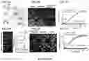 Fig. 09 - Smart single-domain intrabodies with precision switches for biomedical applications