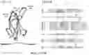 Fig. 18 - Smart single-domain intrabodies with precision switches for biomedical applications