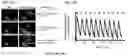 Fig. 22 - Smart single-domain intrabodies with precision switches for biomedical applications