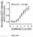 Fig. 34 - Smart single-domain intrabodies with precision switches for biomedical applications