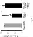 Fig. 12 - SECRETORY PROTEIN