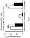 Fig. 17 - SECRETORY PROTEIN