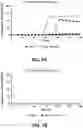 Fig. 08 - Alpha-synuclein substrates and methods for making and using the same