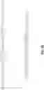Fig. 13 - Alpha-synuclein substrates and methods for making and using the same