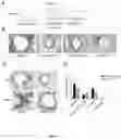 Fig. 07 - Soluble lipidated ligand agents for treating eye inflammation