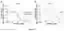 Fig. 12 - Soluble lipidated ligand agents for treating eye inflammation