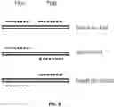 Fig. 04 - High throughput cloning of paired bipartite immunoreceptor polynucleotides and applications thereof