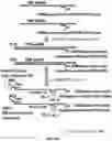 Fig. 05 - High throughput cloning of paired bipartite immunoreceptor polynucleotides and applications thereof