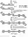 Fig. 06 - High throughput cloning of paired bipartite immunoreceptor polynucleotides and applications thereof