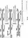 Fig. 12 - High throughput cloning of paired bipartite immunoreceptor polynucleotides and applications thereof