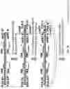 Fig. 13 - High throughput cloning of paired bipartite immunoreceptor polynucleotides and applications thereof
