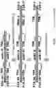 Fig. 16 - High throughput cloning of paired bipartite immunoreceptor polynucleotides and applications thereof