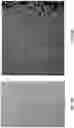 Fig. 23 - High throughput cloning of paired bipartite immunoreceptor polynucleotides and applications thereof