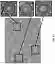 Fig. 24 - High throughput cloning of paired bipartite immunoreceptor polynucleotides and applications thereof