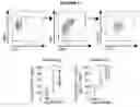 Fig. 05 - CELLS, COMPOSITIONS AND METHODS FOR ENHANCING IMMUNE FUNCTION