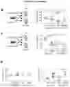Fig. 10 - CELLS, COMPOSITIONS AND METHODS FOR ENHANCING IMMUNE FUNCTION