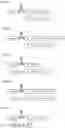Fig. 23 - Antigen-Presenting Polypeptides with Chemical Conjugation Sites and Methods of Use Thereof