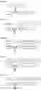 Fig. 26 - Antigen-Presenting Polypeptides with Chemical Conjugation Sites and Methods of Use Thereof