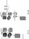 Fig. 03 - Antigen-Presenting Polypeptides with Chemical Conjugation Sites and Methods of Use Thereof