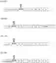 Fig. 28 - Antigen-Presenting Polypeptides with Chemical Conjugation Sites and Methods of Use Thereof