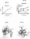 Fig. 10 - DOMINANT NEGATIVE CD40L POLYPEPTIDES
