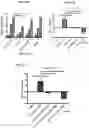 Fig. 12 - DOMINANT NEGATIVE CD40L POLYPEPTIDES