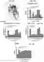 Fig. 13 - DOMINANT NEGATIVE CD40L POLYPEPTIDES