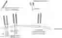 Fig. 01 - A MEMBRANE-BOUND FIT-1 DECOY AND USES THEREOF
