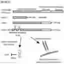 Fig. 03 - A MEMBRANE-BOUND FIT-1 DECOY AND USES THEREOF