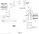 Fig. 02 - ADMINISTRATION OF A SELECTIVE IL-6-TRANS-SIGNALLING INHIBITOR