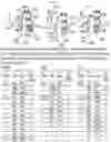 Fig. 09 - IMMUNOGENETIC RESTRICTION ON ELICITATION OF ANTIBODIES