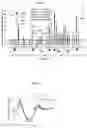 Fig. 15 - IMMUNOGENETIC RESTRICTION ON ELICITATION OF ANTIBODIES