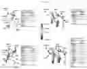 Fig. 16 - IMMUNOGENETIC RESTRICTION ON ELICITATION OF ANTIBODIES