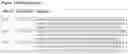 Fig. 36 - Immunoglobulin variable domains